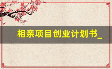 相亲项目创业计划书_相亲项目