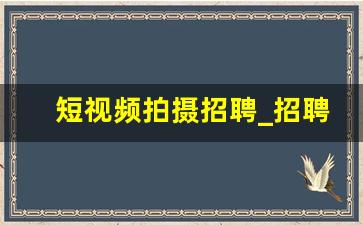 短视频拍摄招聘_招聘抖音短视频拍摄