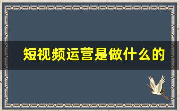 短视频运营是做什么的_没经验可以做电商运营吗