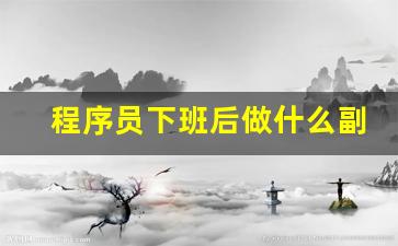 程序员下班后做什么副业_晚上下班后怎样赚外快