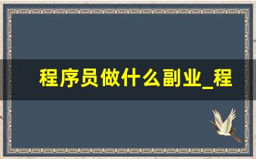 程序员做什么副业_程序员可以做什么