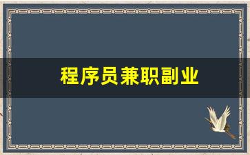程序员兼职副业