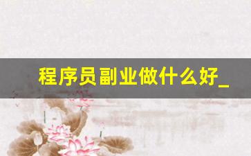 程序员副业做什么好_程序员想做副业