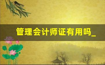 管理会计师证有用吗_管理会计师国家认可么
