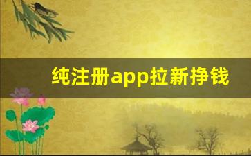 纯注册app拉新挣钱