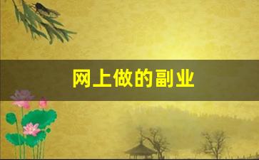 网上做的副业
