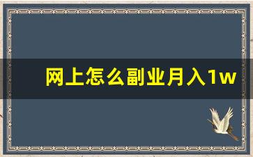 网上怎么副业月入1w_月入1万的冷门兼职