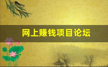 网上赚钱项目论坛