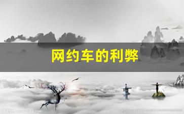 网约车的利弊