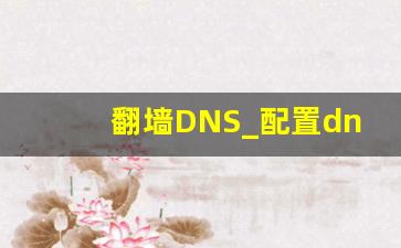 翻墙DNS_配置dns怎么设置网速快