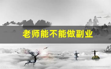 老师能不能做副业