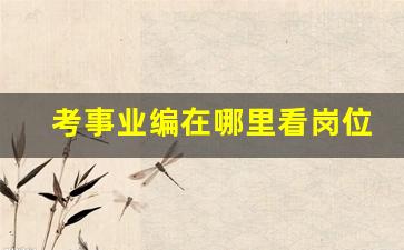 考事业编在哪里看岗位_事业编报名入口