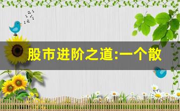 股市进阶之道:一个散户的自我修养_炒股看两本书就够了