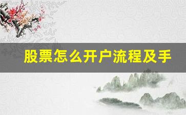 股票怎么开户流程及手续_个人自己炒股怎样开户