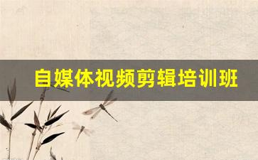 自媒体视频剪辑培训班