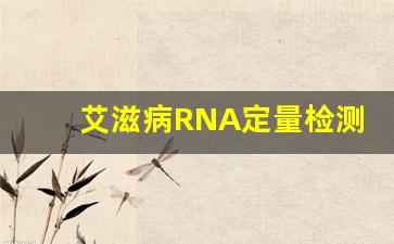 艾滋病RNA定量检测结果
