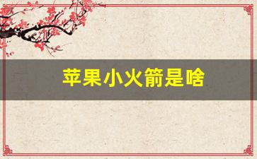 苹果小火箭是啥