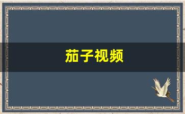 茄子视频