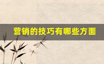 营销的技巧有哪些方面_营销通俗的说法