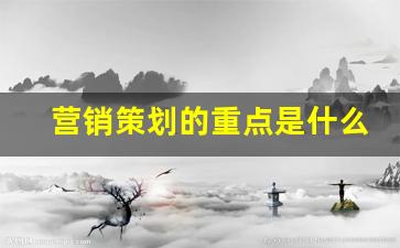 营销策划的重点是什么