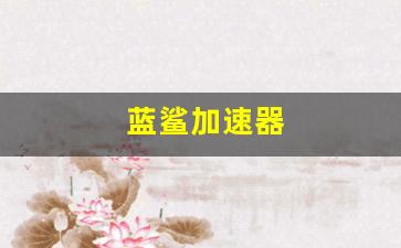 蓝鲨加速器