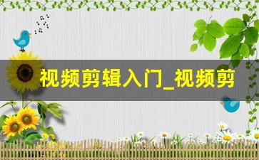 视频剪辑入门_视频剪辑的软件推荐