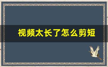 视频太长了怎么剪短