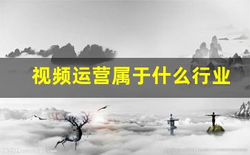 视频运营属于什么行业