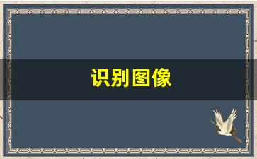 识别图像