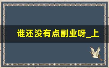 谁还没有点副业呀_上班能做点什么副业