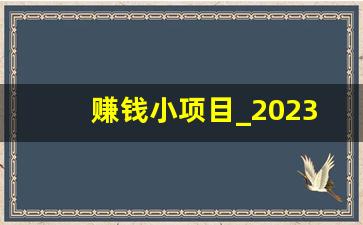 赚钱小项目_2023创业新项目新商机
