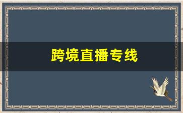 跨境直播专线
