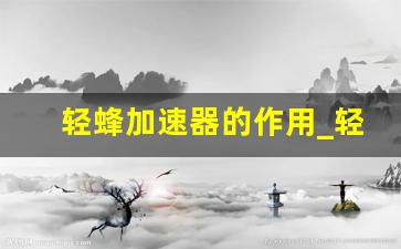 轻蜂加速器的作用_轻蜂加速器要钱吗