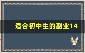 适合初中生的副业14岁_16岁怎么从网上赚钱