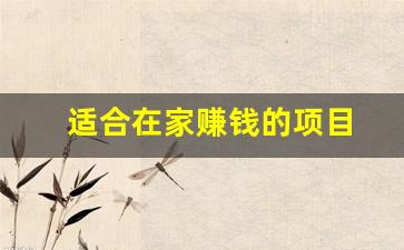 适合在家赚钱的项目