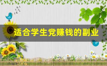 适合学生党赚钱的副业有哪些_适合学生党赚钱的副业