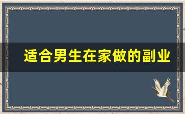 适合男生在家做的副业_男生有什么副业可以挣钱