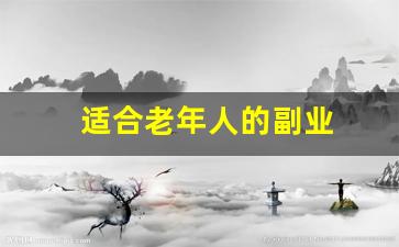 适合老年人的副业