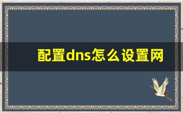 配置dns怎么设置网速快_服务器114.114.114