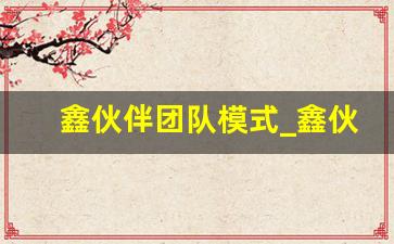鑫伙伴团队模式_鑫伙伴合法吗