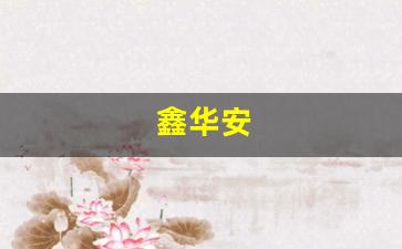 鑫华安