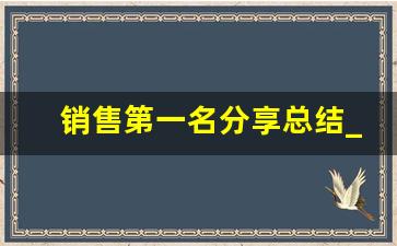 销售第一名分享总结_销冠个人分享简短