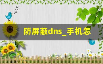 防屏蔽dns_手机怎么改dns