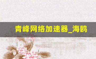 青峰网络加速器_海鸥加速器