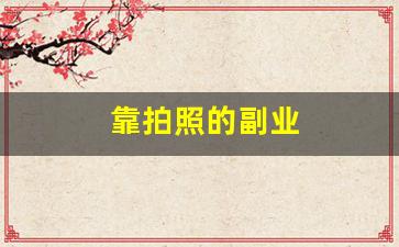靠拍照的副业