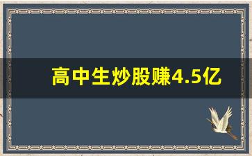 高中生炒股赚4.5亿_最安全的杠杆炒股平台