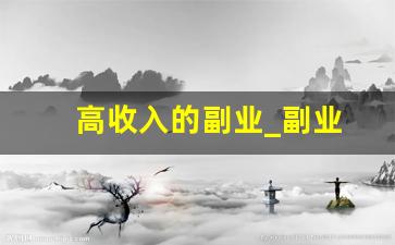 高收入的副业_副业