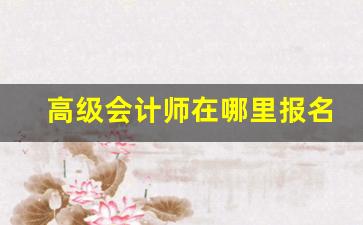 高级会计师在哪里报名