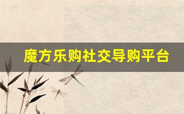 魔方乐购社交导购平台_零售魔方是做什么用的