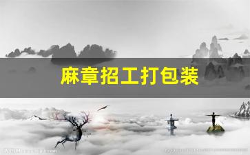 麻章招工打包装